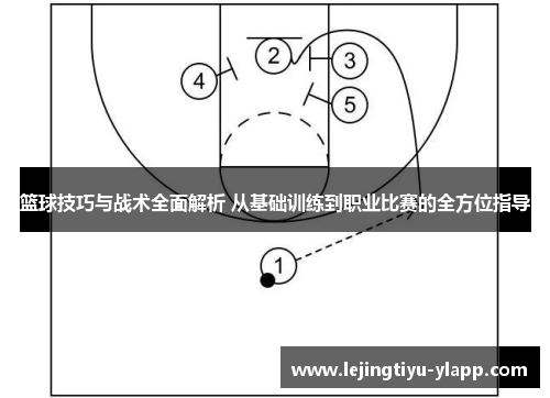 篮球技巧与战术全面解析 从基础训练到职业比赛的全方位指导