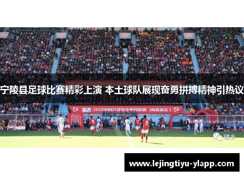 宁陵县足球比赛精彩上演 本土球队展现奋勇拼搏精神引热议